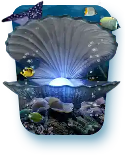 Sea World